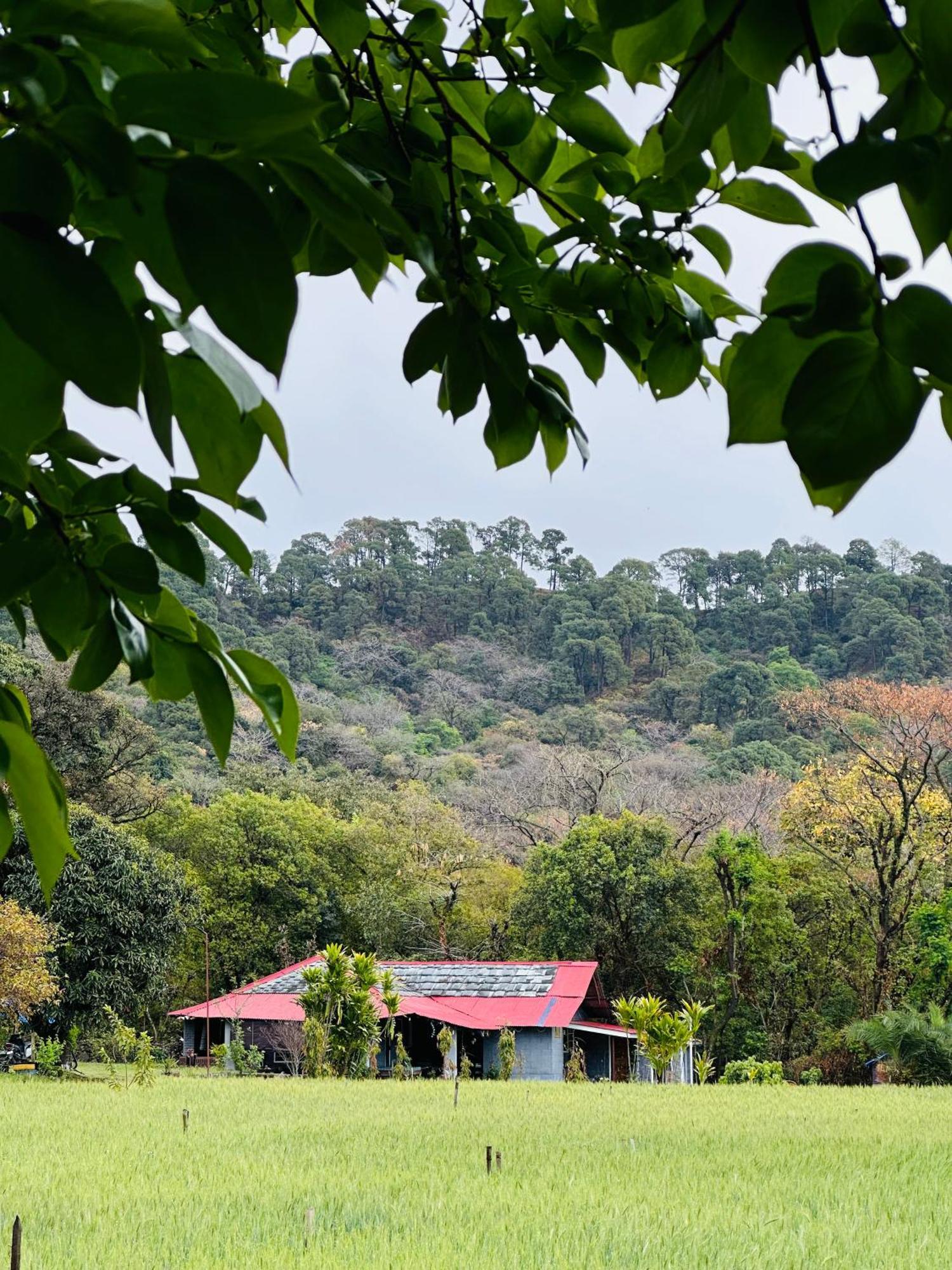 Dreamwoods A Travellers Farm Vandrehjem Dharamshala Eksteriør billede
